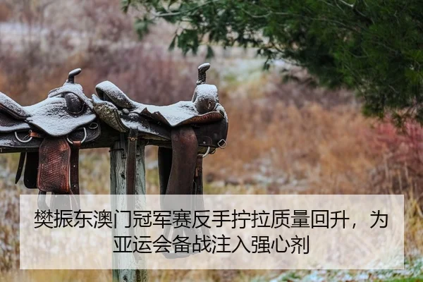 樊振东澳门冠军赛反手拧拉质量回升，为亚运会备战注入强心剂